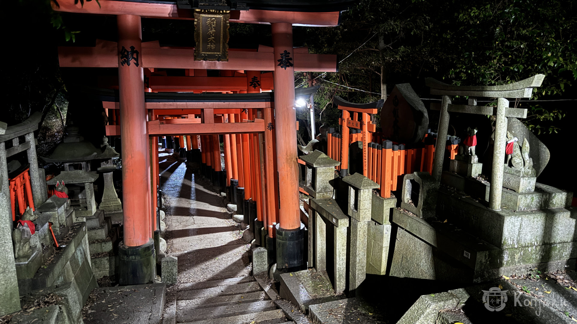 Alignement des torii rouges emblématiques du Fushimi Inari Taisha, le temple dédié à la déesse Inari à Kyoto photographié lors du Konjakuryoko de mai 2024