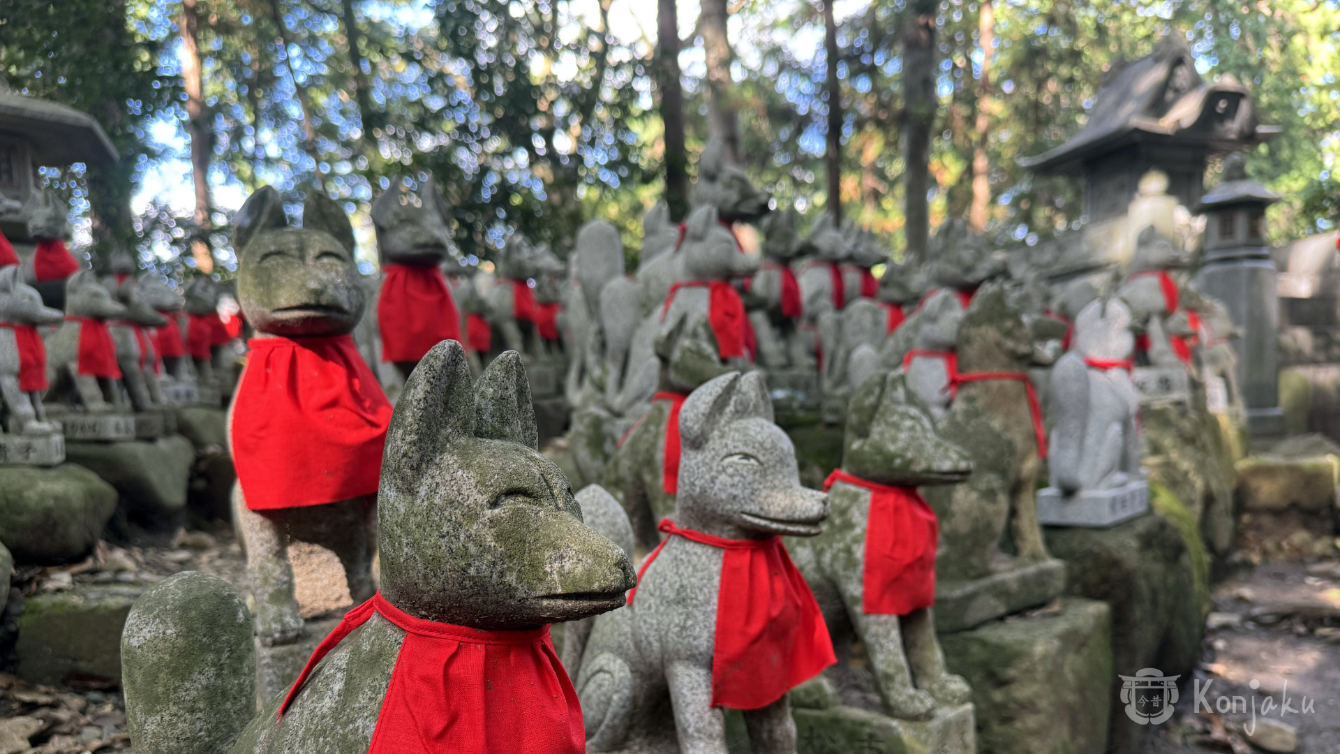 Statuette de Kitsune photographiées au temple Toyokawa Inari lors du Konjakuryoko de novembre 2024