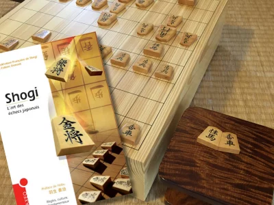 Top 5 des livres pour apprendre le shogi en français