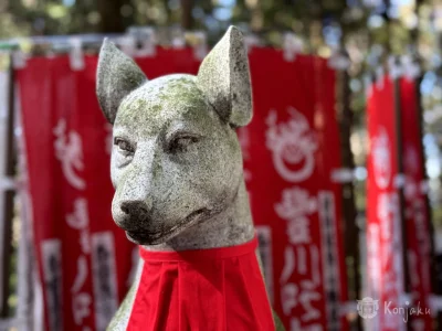 Kitsune, renard mythique et Inari